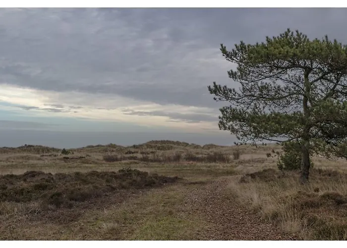 Knasborg Ferieboliger * Ålbæk